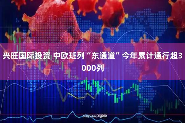 兴旺国际投资 中欧班列“东通道”今年累计通行超3000列