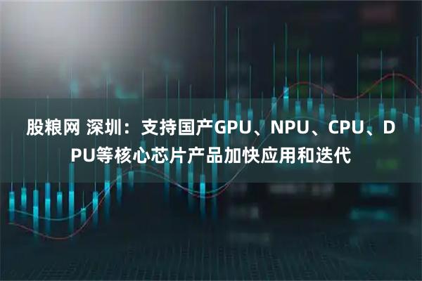 股粮网 深圳：支持国产GPU、NPU、CPU、DPU等核心芯片产品加快应用和迭代