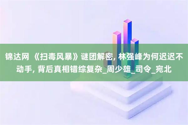 锦达网 《扫毒风暴》谜团解密, 林强峰为何迟迟不动手, 背后真相错综复杂_周少雄_司令_宛北