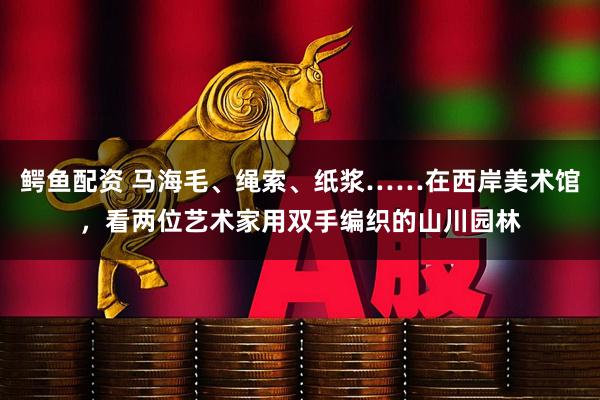 鳄鱼配资 马海毛、绳索、纸浆……在西岸美术馆，看两位艺术家用双手编织的山川园林
